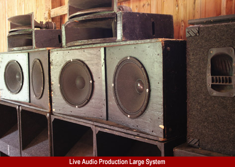Professional Live Carvin Sound System for Ball Room/Large Sized Club Venues